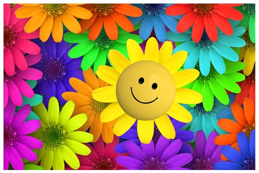 smiley face flower surrounded by colourful flowers